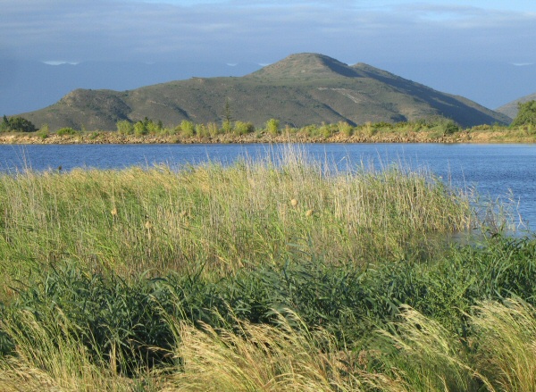 The Lake at the Old Mill Lodge
